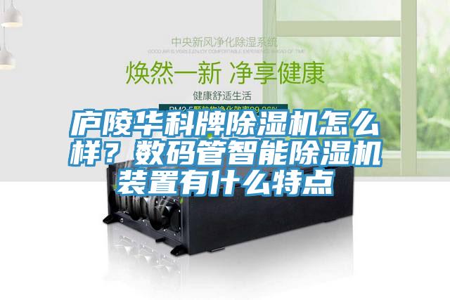廬陵華科牌除濕機怎么樣？數碼管智能除濕機裝置有什么特點