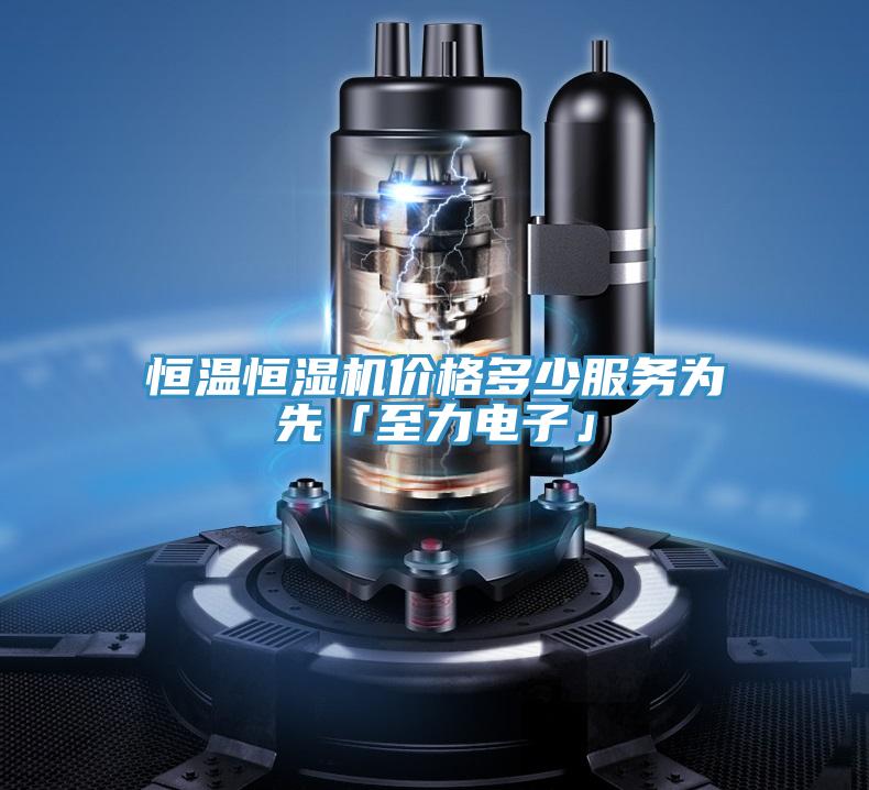 恒溫恒濕機價格多少服務(wù)為先「至力電子」
