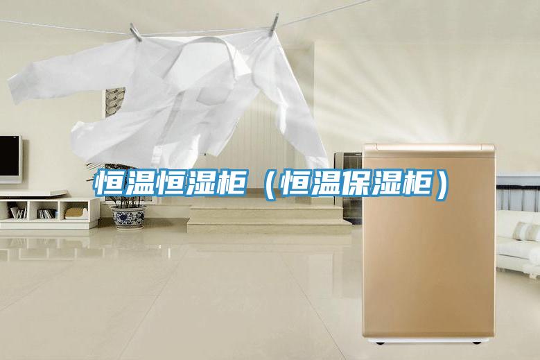 恒溫恒濕柜（恒溫保濕柜）