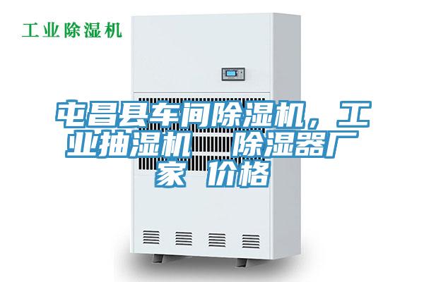 屯昌縣車間除濕機，工業抽濕機  除濕器廠家 價格