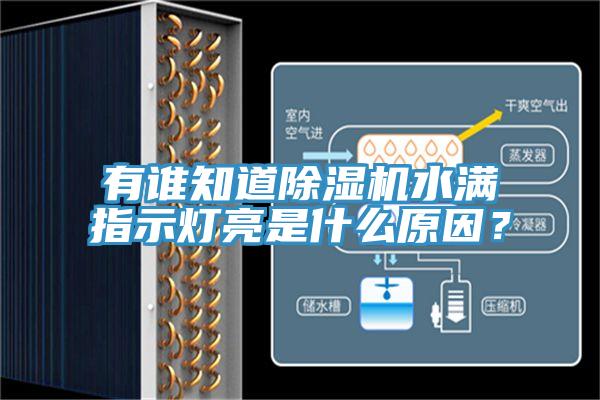 有誰知道除濕機水滿指示燈亮是什么原因？