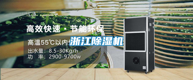 浙江除濕機