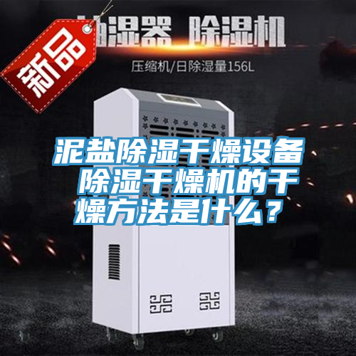 泥鹽除濕干燥設備 除濕干燥機的干燥方法是什么？
