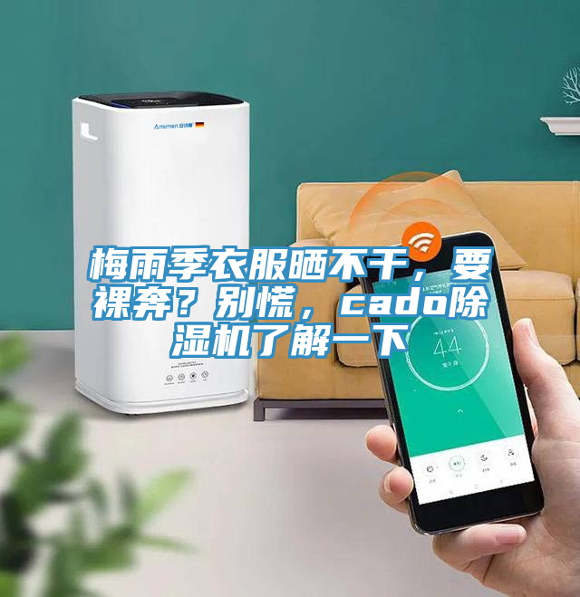 梅雨季衣服曬不干，要裸奔？別慌，cado除濕機了解一下