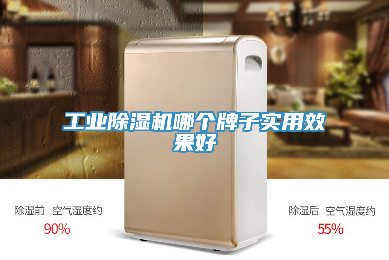 工業(yè)除濕機(jī)哪個(gè)牌子實(shí)用效果好