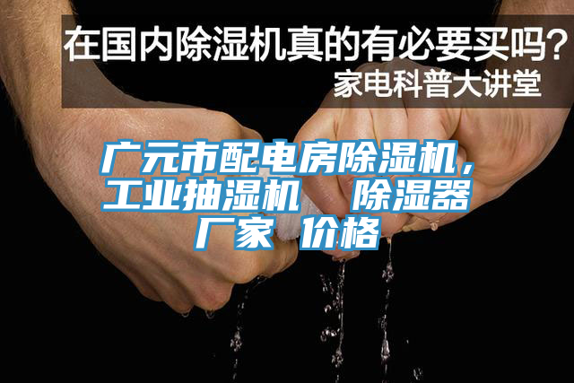 廣元市配電房除濕機，工業抽濕機  除濕器廠家 價格