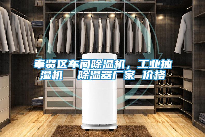 奉賢區(qū)車(chē)間除濕機(jī)，工業(yè)抽濕機(jī)  除濕器廠家 價(jià)格