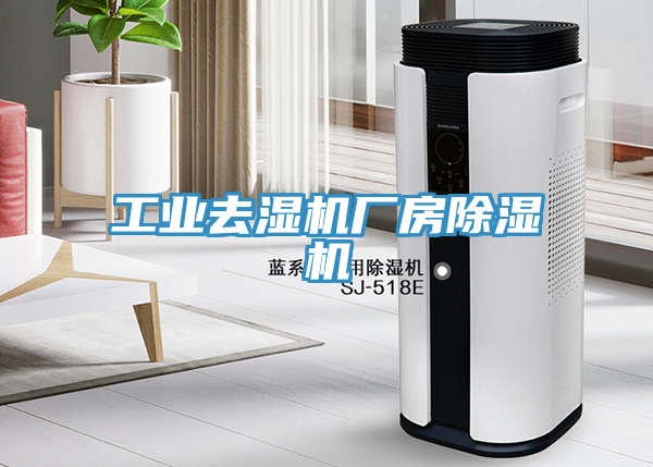 工業(yè)去濕機廠房除濕機