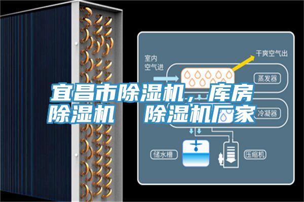 宜昌市除濕機,庫房除濕機 除濕機廠家