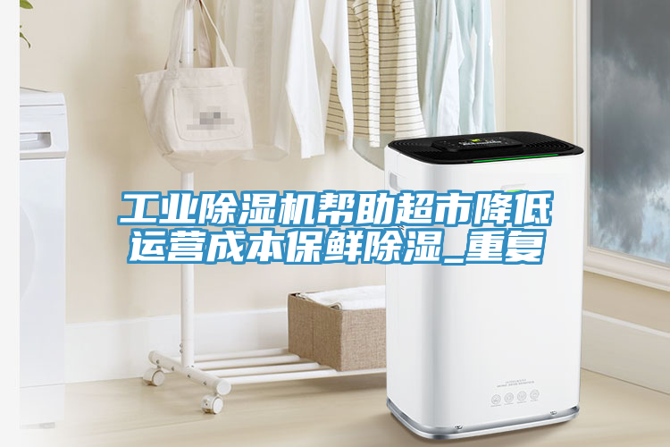 工業除濕機幫助超市降低運營成本保鮮除濕_重復