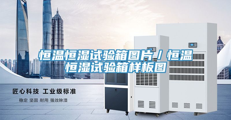 恒溫恒濕試驗箱圖片／恒溫恒濕試驗箱樣板圖