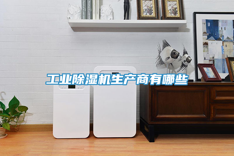 工業(yè)除濕機(jī)生產(chǎn)商有哪些