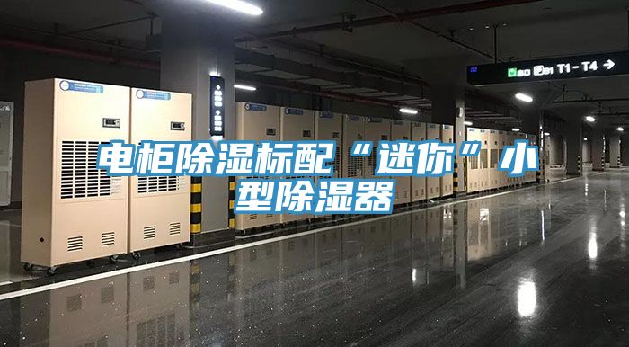 電柜除濕標(biāo)配“迷你”小型除濕器