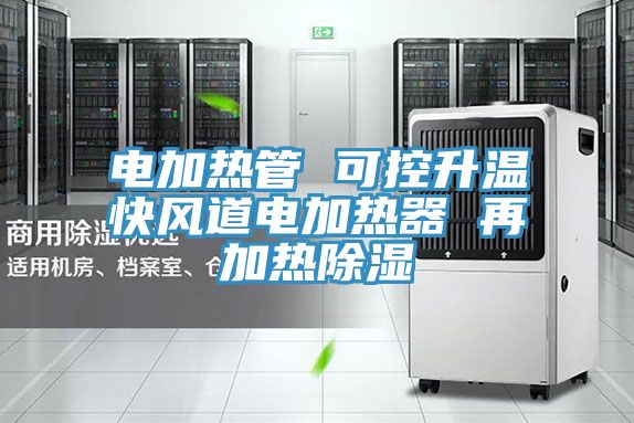 電加熱管 可控升溫快風道電加熱器 再加熱除濕