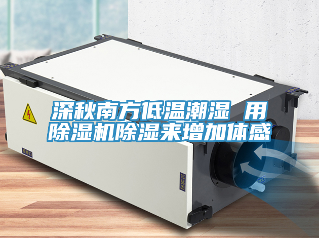 深秋南方低溫潮濕 用除濕機除濕來增加體感