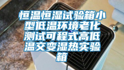 恒溫恒濕試驗箱小型低溫環境老化測試可程式高低溫交變濕熱實驗箱