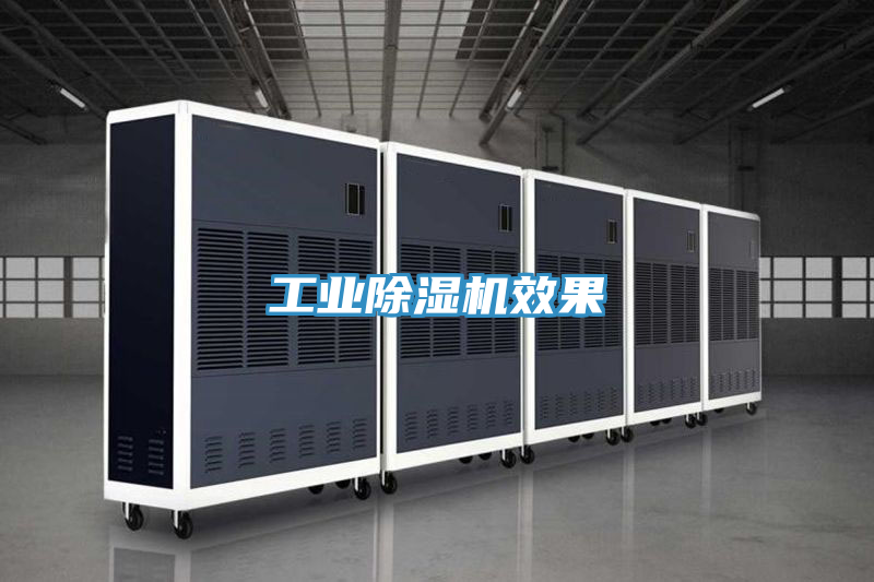 工業除濕機效果