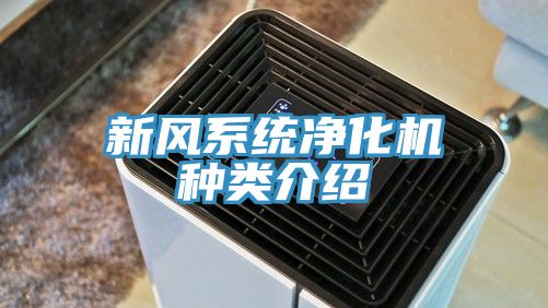 新風系統(tǒng)凈化機種類介紹