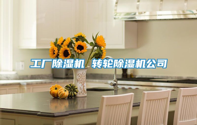 工廠除濕機 轉輪除濕機公司