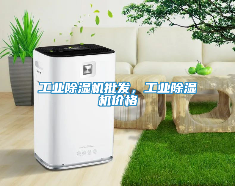 工業除濕機批發，工業除濕機價格