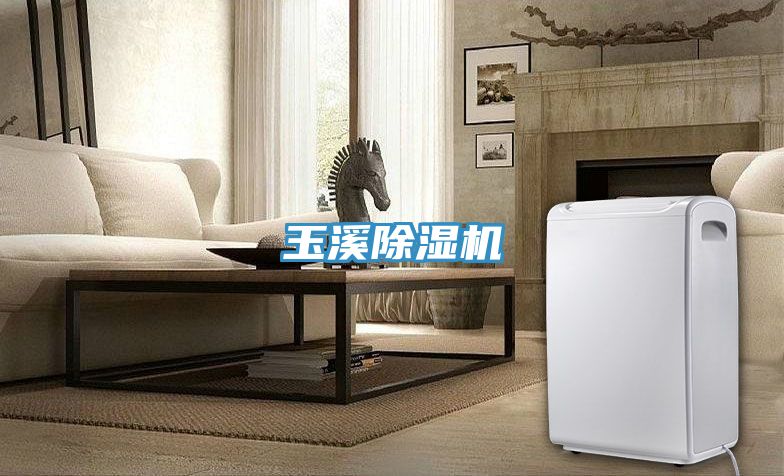 玉溪除濕機
