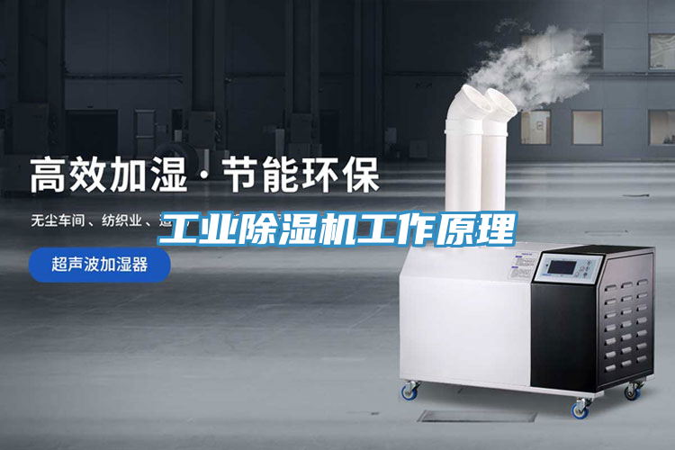 工業(yè)除濕機(jī)工作原理