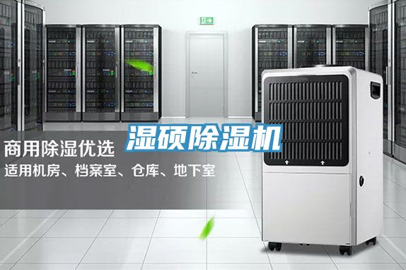 濕碩除濕機