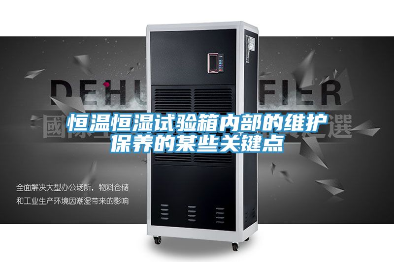 恒溫恒濕試驗箱內部的維護保養的某些關鍵點
