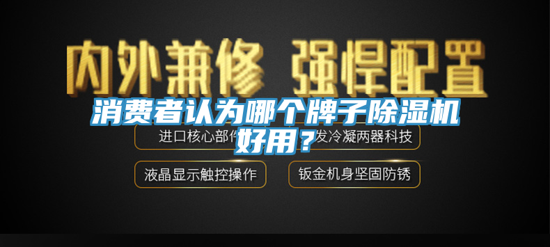 消費者認為哪個牌子除濕機好用？