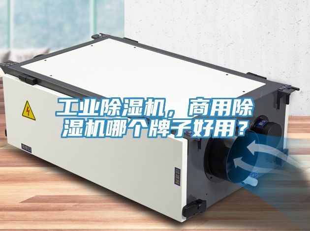 工業(yè)除濕機(jī)，商用除濕機(jī)哪個牌子好用？
