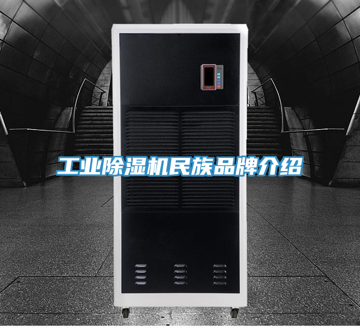 工業(yè)除濕機(jī)民族品牌介紹