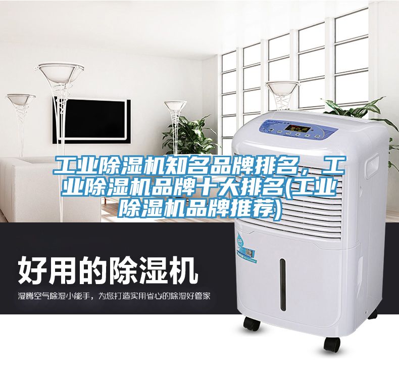 工業除濕機知名品牌排名，工業除濕機品牌十大排名(工業除濕機品牌推薦)
