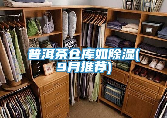 普洱茶倉(cāng)庫(kù)如除濕(9月推薦)