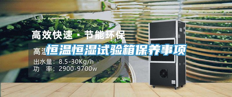 恒溫恒濕試驗箱保養事項