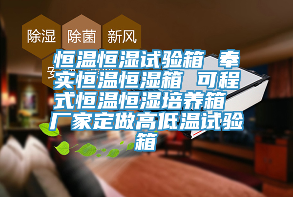恒溫恒濕試驗箱 奉實恒溫恒濕箱 可程式恒溫恒濕培養箱 廠家定做高低溫試驗箱