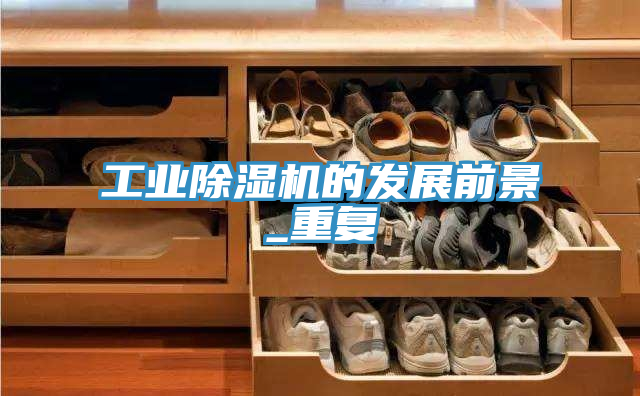 工業除濕機的發展前景_重復