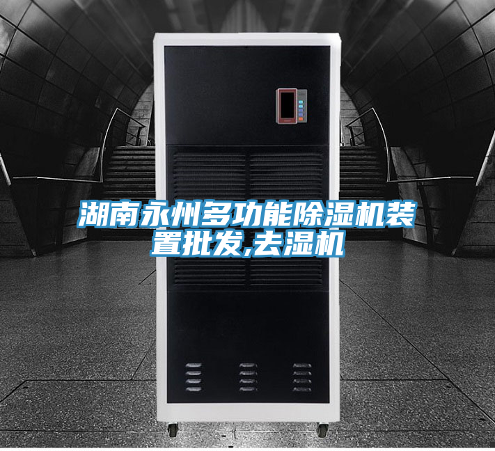 湖南永州多功能除濕機裝置批發,去濕機