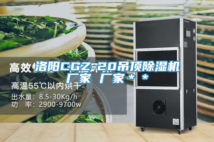 洛陽CGZ-20吊頂除濕機廠家 廠家**