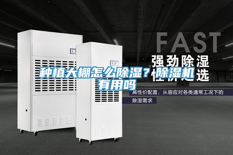 種植大棚怎么除濕？除濕機有用嗎