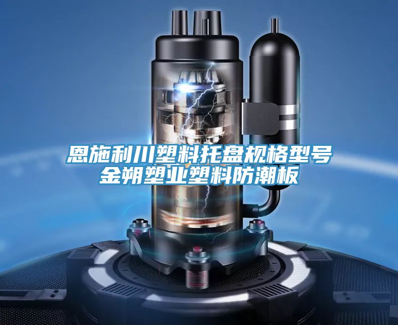 恩施利川塑料托盤規格型號金朔塑業塑料防潮板