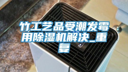 竹工藝品受潮發霉用除濕機解決_重復