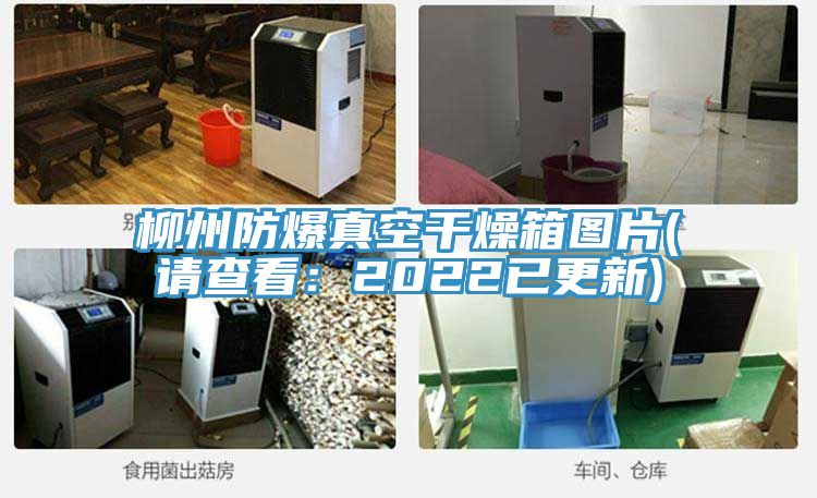 柳州防爆真空干燥箱圖片(請(qǐng)查看：2022已更新)