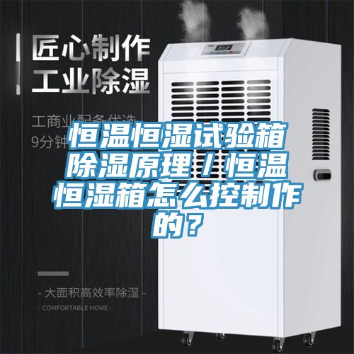 恒溫恒濕試驗箱除濕原理／恒溫恒濕箱怎么控制作的？