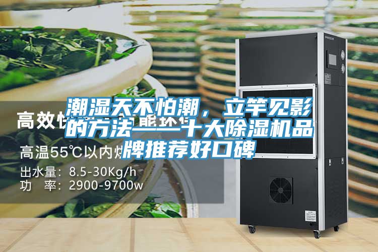 潮濕天不怕潮，立竿見影的方法——十大除濕機品牌推薦好口碑