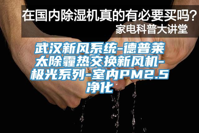 武漢新風系統-德普萊太除霾熱交換新風機-極光系列-室內PM2.5凈化