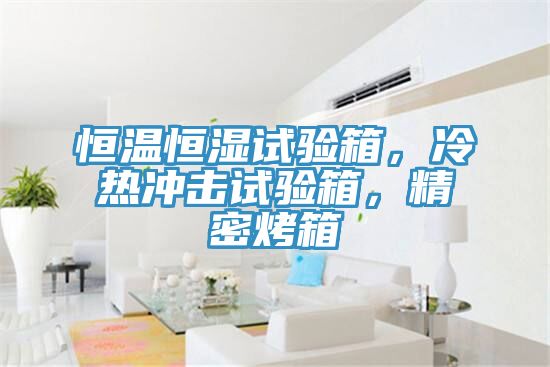 恒溫恒濕試驗箱，冷熱沖擊試驗箱，精密烤箱