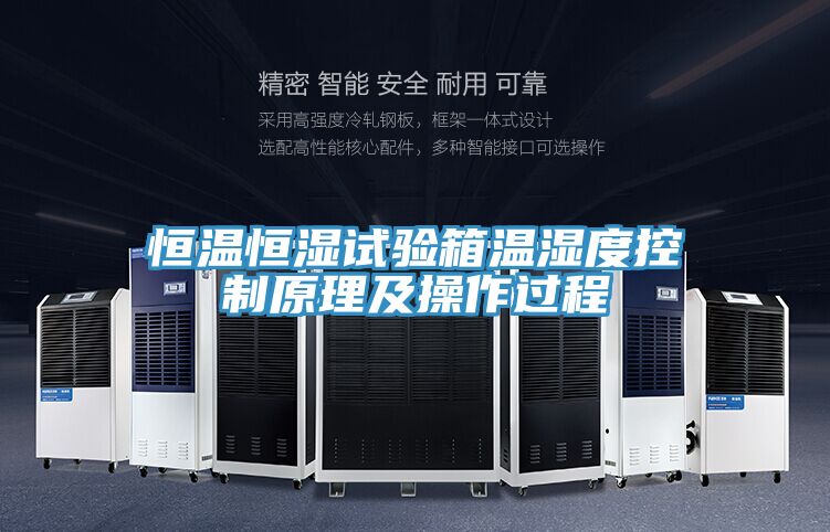 恒溫恒濕試驗箱溫濕度控制原理及操作過程