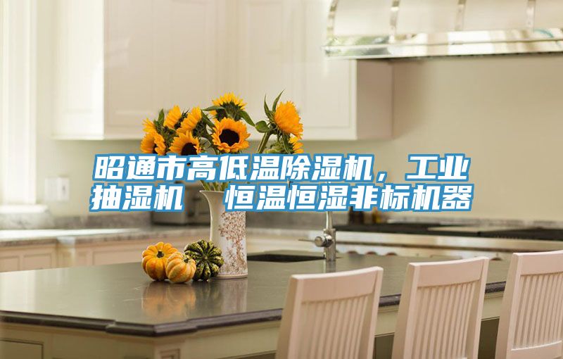 昭通市高低溫除濕機,工業抽濕機 恒溫恒濕非標機器