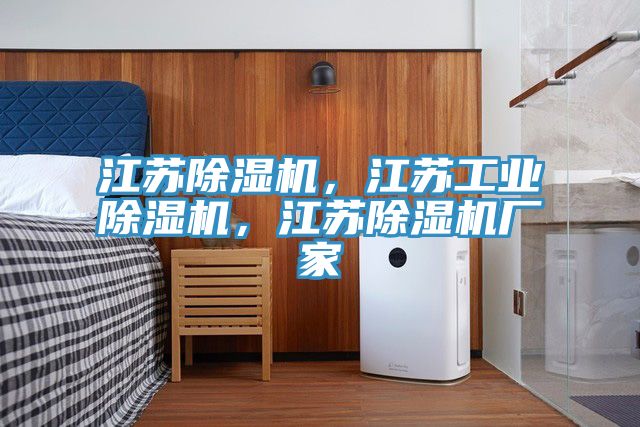 江蘇除濕機，江蘇工業(yè)除濕機，江蘇除濕機廠家