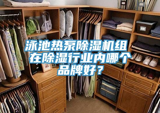 泳池?zé)岜贸凉駲C(jī)組 在除濕行業(yè)內(nèi)哪個(gè)品牌好？